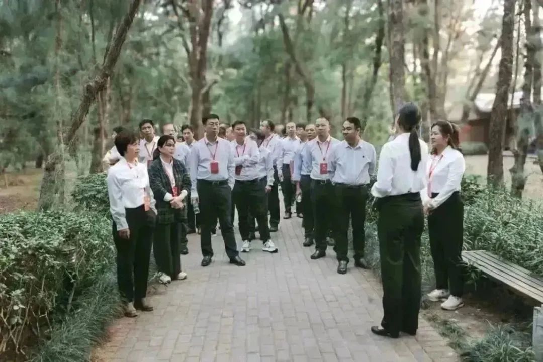 3.jpeg 3.jpeg